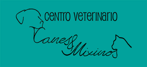 Canes y Mixinos Veterinarios en Sabiñánigo